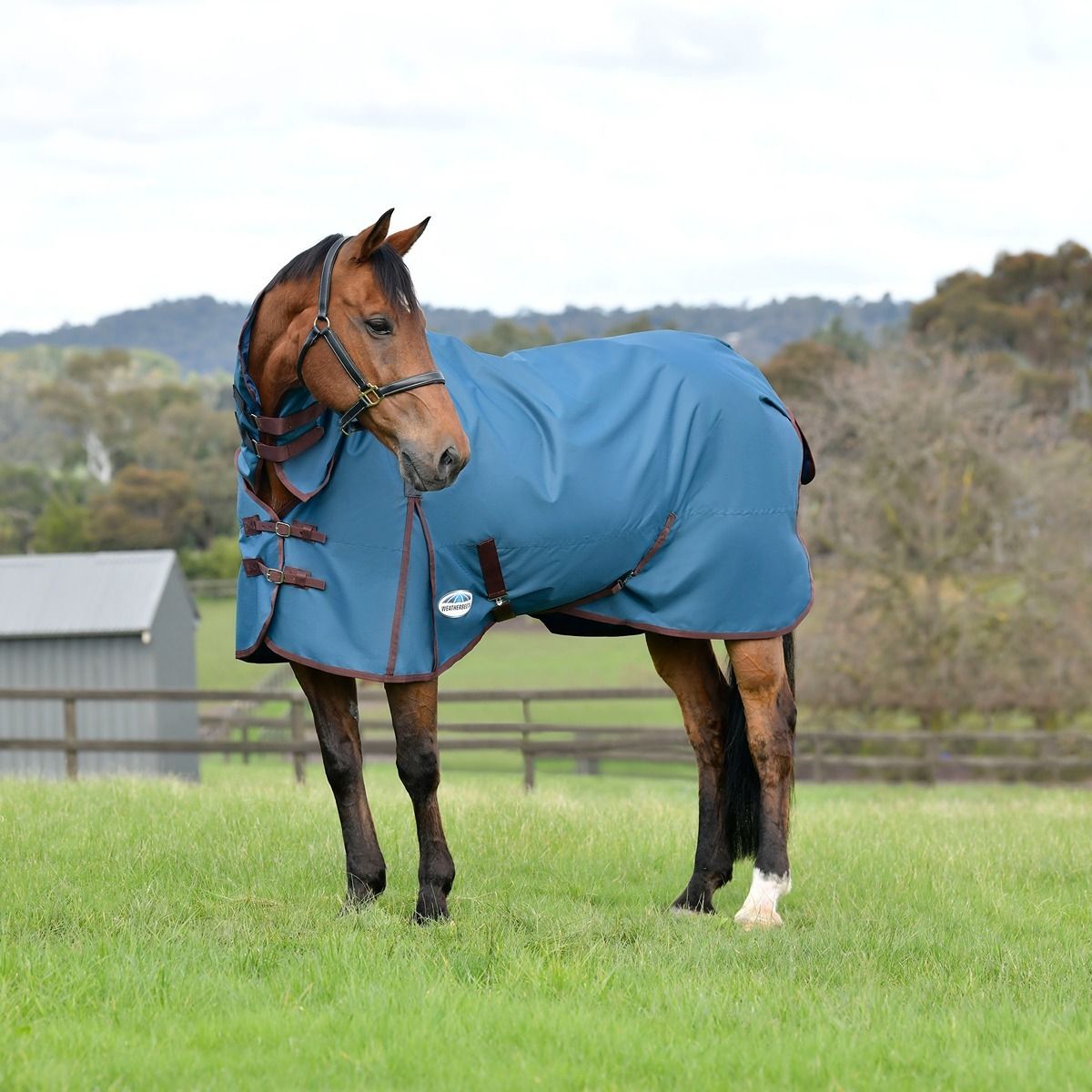 WeatherBeeta ComFiTec Classic Combo Neck Mediumweight - Dark Blue - Coffee - WeatherBeeta