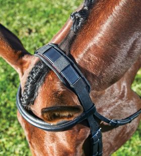 Weatherbeeta Therapy-Tec Poll Pad