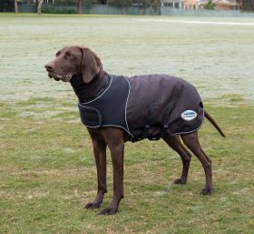 WeatherBeeta ComFiTec Ultra Cozi Dog Coat Medium/Lite - Charcoal/Blue/White - WeatherBeeta