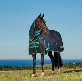 WeatherBeeta Green-Tec Detach-A-Neck Medium Turnout -  WeatherBeeta
