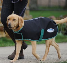 WeatherBeeta Green-Tec 900D Dog Coat Lite Plus - Black/Bottle Green - WeatherBeeta