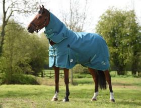 Weatherbeeta Green-Tec 1200D Detach-A-Neck Heavy - Dragonfly Blue - WeatherBeeta