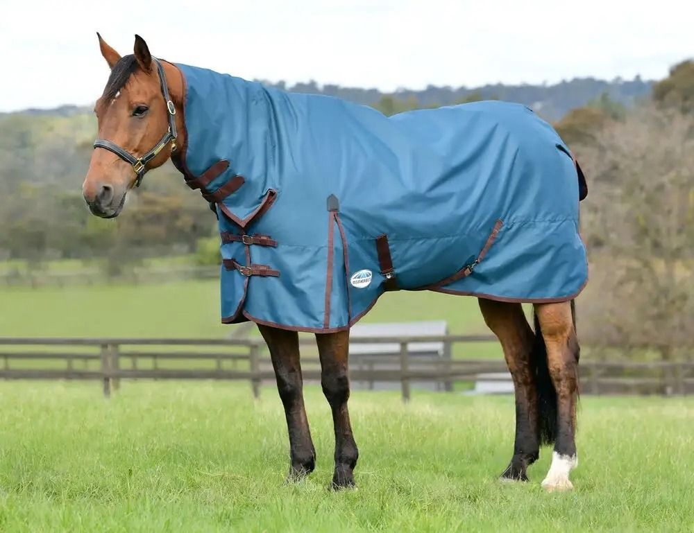 Weatherbeeta ComFiTec Classic Combo Neck Lite Plus - Dark Blue - Coffee - WeatherBeeta