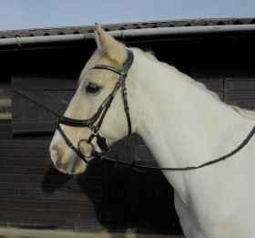 Heritage Anatomical Flash Bridle
