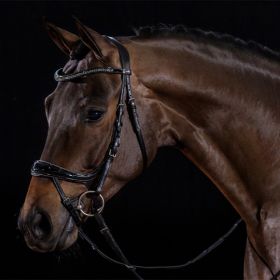 Schockemohle Equitus Beta Glam Bridle - Black Patent - Schockemohle