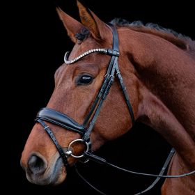 Schockemohle Siena Bridle - Black
