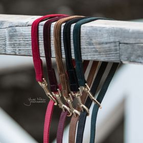 Kentucky Dog Leash Corduroy