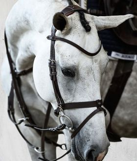 PS of Sweden London Flash Bridle