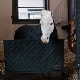 Kentucky Stable Guard - Dark Green -  Kentucky Horsewear