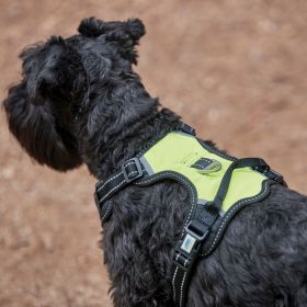 Weatherbeeta Anti Pull / Travel Harness - Black Yellow