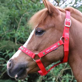 Hy Equestrian Christmas Merry Christmas Head Collar & Lead Rope - HY