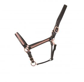 Hy Equestrian Rosciano Rose Gold Head Collar - Black -  HY