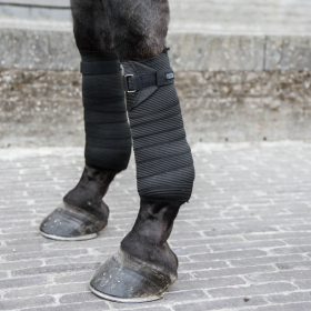 Kentucky Elastic Bandages - 2 Pack - Black - Kentucky Horsewear
