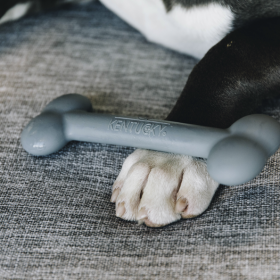 Kentucky Silicone Bone Dog Toy