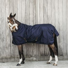 Kentucky All Weather 0g Waterproof Turnout Rug - Navy - Kentucky Horsewear