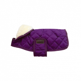 Kentucky Dog Coat -Purple-X Large - Kentucky Horsewear