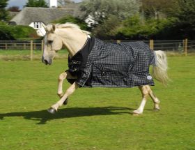 Rhinegold Elite Montpelier 100g Turnout Rug