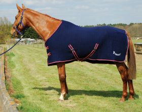Rhinegold Celltex Multi-Purpose Rug