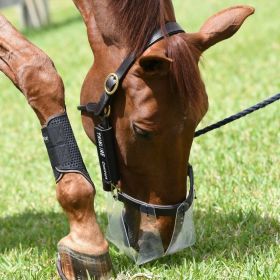 Thinline Flexible Filly Grazing Muzzle - SMALL HOLE