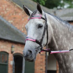 Weatherbeeta Reflective Bridle Kit - 4 Piece - Pink - WeatherBeeta