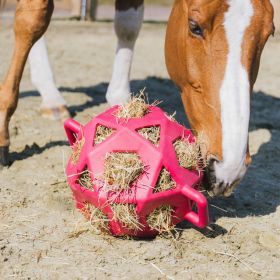 Kentucky Horsewear Relax Horse Play Hay Ball - Dusty Rose - Kentucky Horsewear