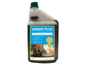 Global Herbs AirwayPlus-1ltr - Global Herbs