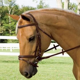 Amerigo Flash Bridle with Rubber Reins Havana