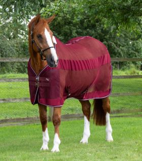 Premier Equine Arisca Scrim Cooler Burgundy -  Premier Equine