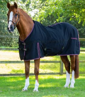Premier Equine Barrasso Stable Sheet Black -  Premier Equine
