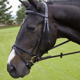 John Whitaker Barton Raised Flash Bridle in Rubber Reins - Black