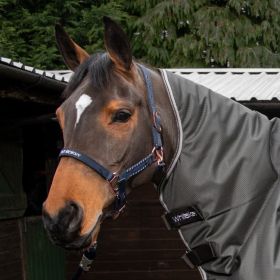 John Whitaker Bradshaw Headcollar with Rose Gold Fittings - Navy