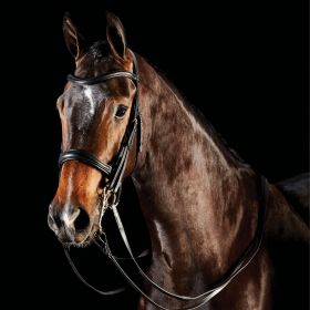 Collegiate Comfitec Weymouth Bridle - Black-Extra Full - Collegiate