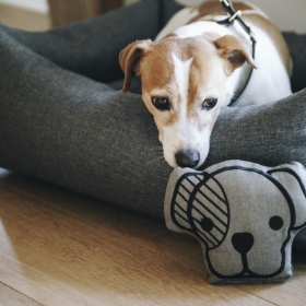 Kentucky Dog Toy 'dog-head'