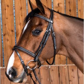 Dy’on Working Collection Classic Flash Noseband Bridle - Brown