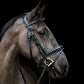 EcoRider Ecosoft Luxe Bridle - Black - EcoRider