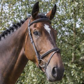 EcoRider Classic Comfort Bridle - Black - EcoRider
