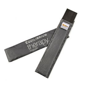 Equilibrium Spare Long Magnets - 2 Pack - Equilibrium
