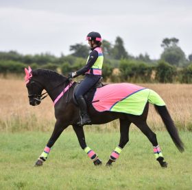 Equisafety Breathable Mesh Quarter Sheet - Pink Yellow - Equisafety