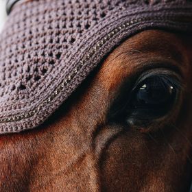 Kentucky Horsewear Wellington Horse Fly Veil Sparkling - Black -  Kentucky Horsewear