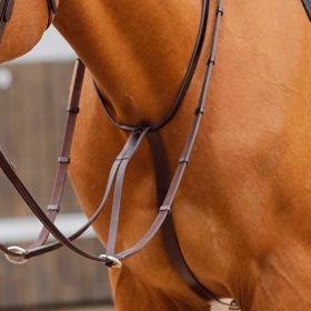 Premier Equine Fuscaldo Running Martingale - Brown