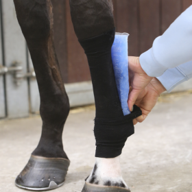 Kentucky Tendon Grip Sock - Kentucky Horsewear