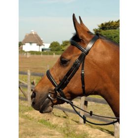 Heritage English Leather Bridle Havana