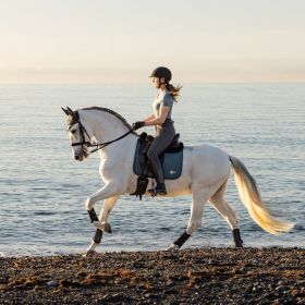 LeMieux Earth Dressage Square - Moss -  LeMieux