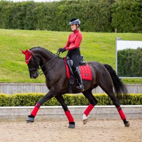 LeMieux Loire Classic Dressage Square - Chilli - LeMieux