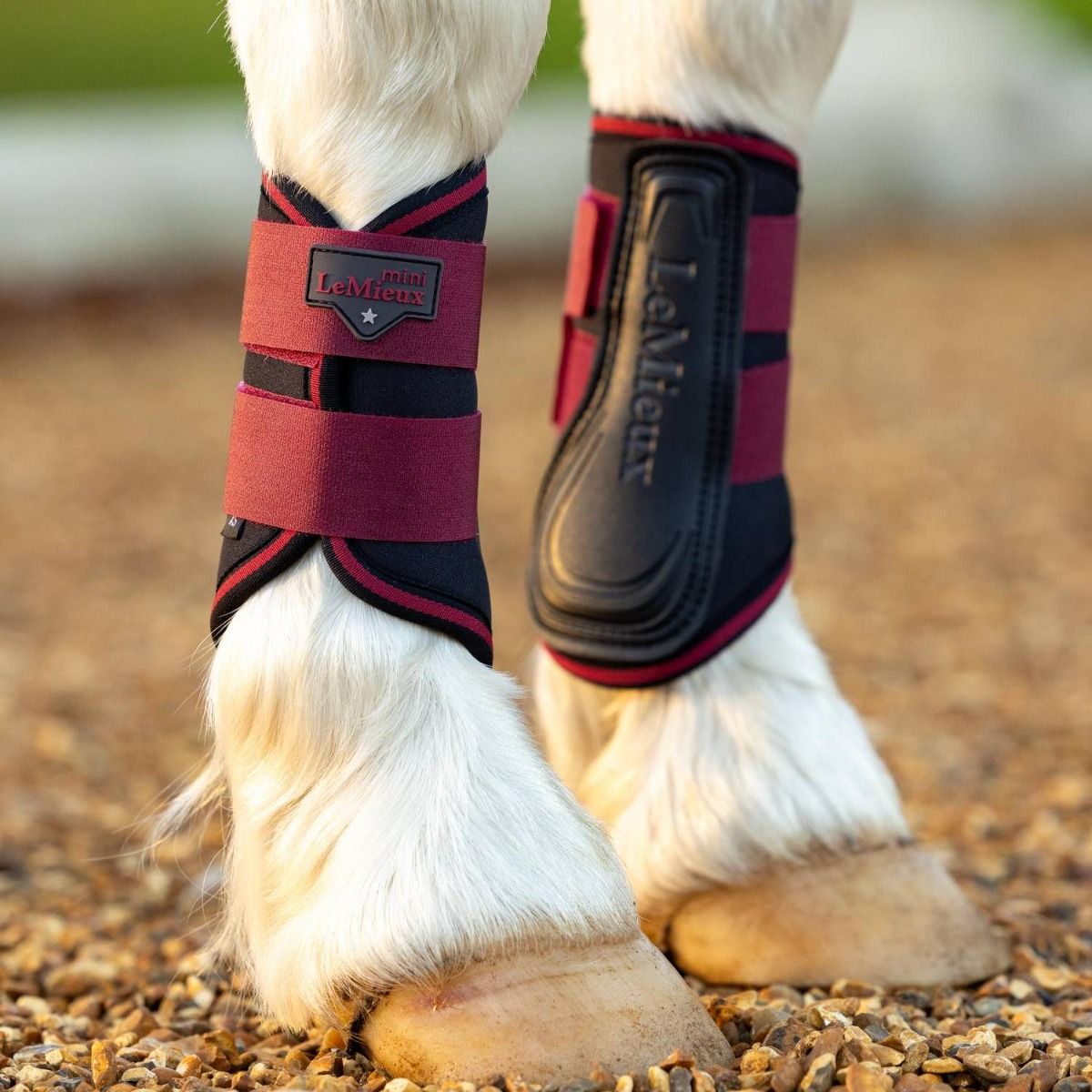 LeMieux MINI Brushing Boots - Ember