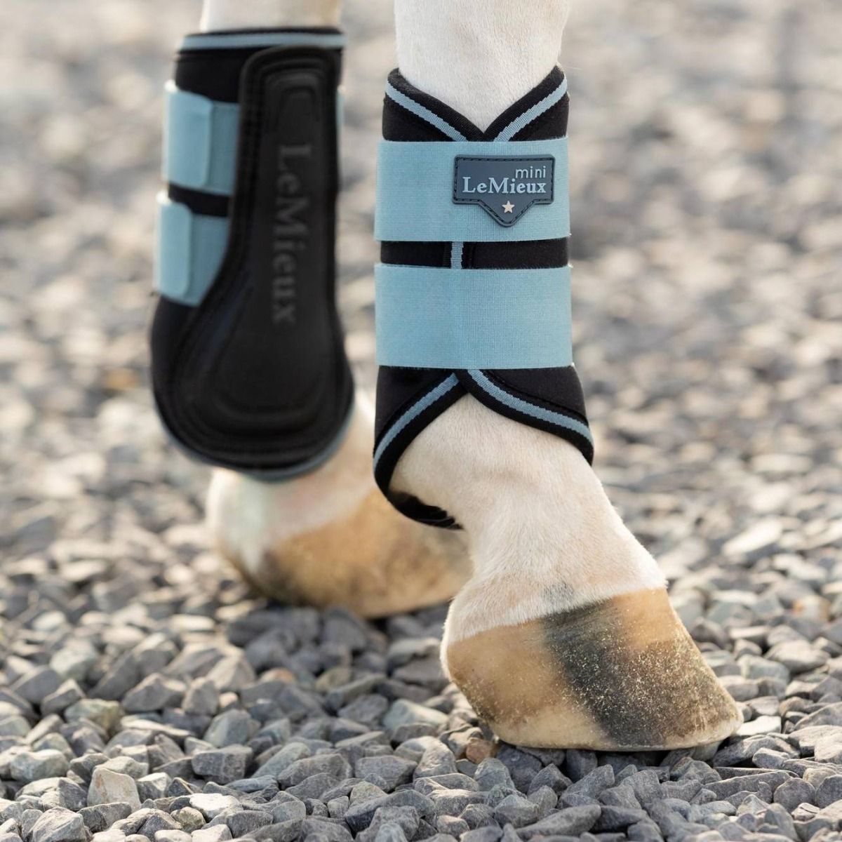 LeMieux MINI Brushing Boots - Glacier - LeMieux