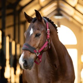 LeMieux Vogue Fleece Headcollar and Leadrope - Ember