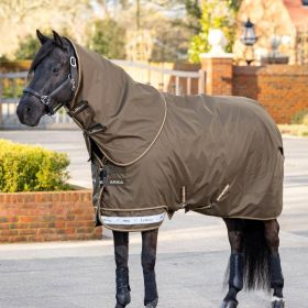 LeMieux Arika Ripstop 50g Turnout Rug Alpine - LeMieux