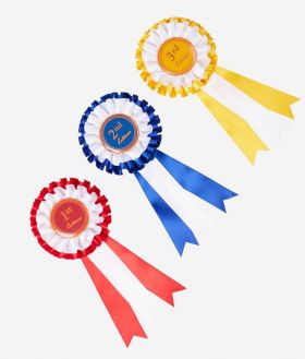 LeMieux Hobby Horse Rosette Pack Multi - LeMieux