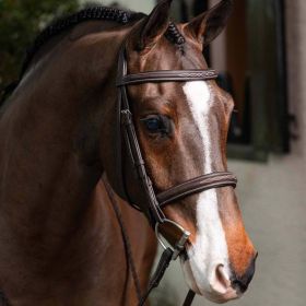 LeMieux Stitched Hunter Bridle with Laced Reins - Havana